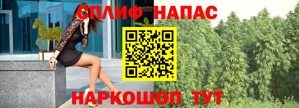 Конопля сатива  Каннабис AK-47  Канабис AK-47  Вход с VPN  Валуйки 